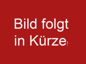 ZAR Formenti 47 mit Ymaha F115CETOL & Harbeck Trailer
